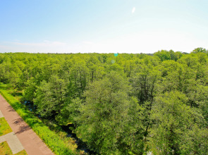 Апартаменты Greenwoods