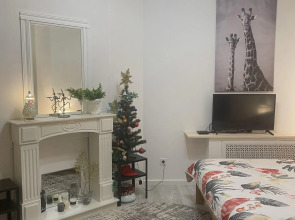 Апартаменты Квартира в центре с отдельным входом