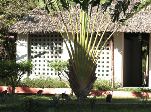 Makao Changani Beach Resort Hotel