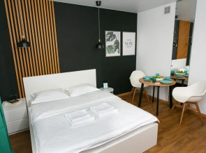 Апартаменты Домант Романова 60/1 (7)