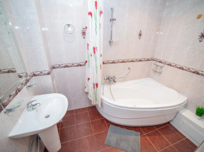 Апартаменты Радищева 12 трехкомнатная