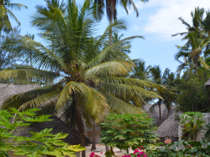 Coral Reef Zanzibar Hotel