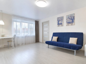 Апартаменты на Антикайнена