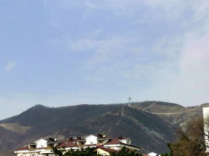 Золотая Роза