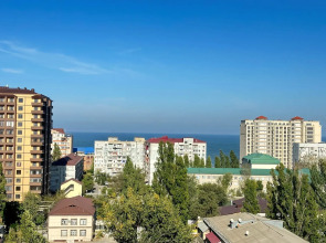 Квартира на проспекте Петра I 121