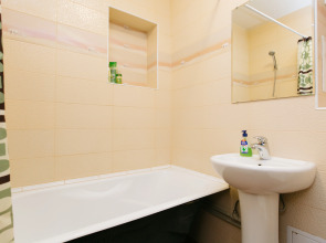 Апартаменты Однокомнатные на Семьи Шамшиных 90/5