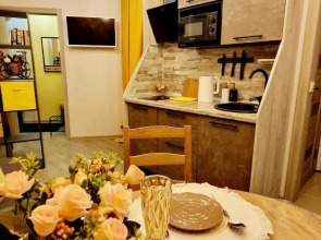 Квартира в центре на Пискунова