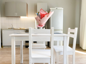 Апартаменты Красных Мадьяр 14