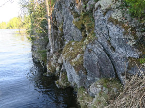 Гостевой дом 5 VILLANORDA