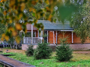 Гостевой дом Дикий Гусь