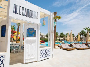 Amphoras Aqua Adults Friendly