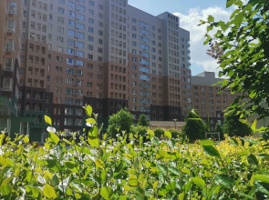 Квартира студия Галерея Рядом Новосибирск