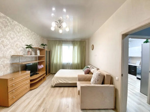 Квартира 1к на Александра Усольцева 14