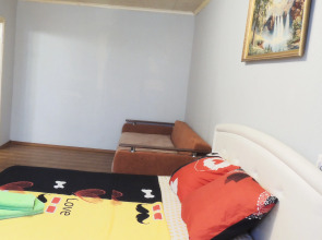 Апартаменты Красной армии 215