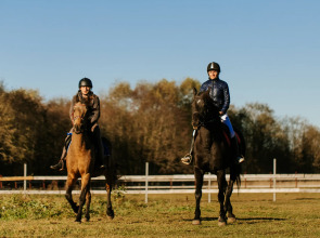 База отдыха Агротуристический комплекс Эль Ранчо