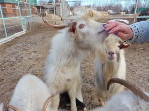 База отдыха Замок