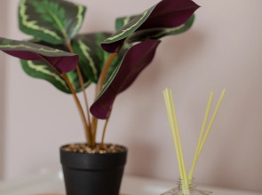 Квартира 1-комнатная