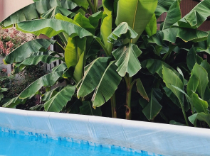 Гостевой дом Анжелика