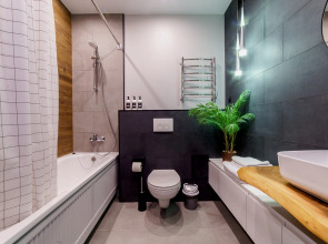 Апартаменты Лайнер