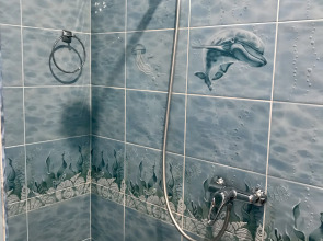 Dom S Delfinami Guest House