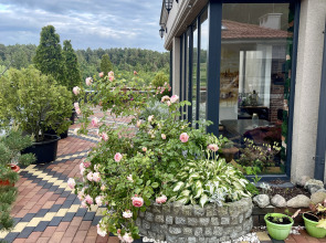 Апартаменты в курортной зоне Светлогорска