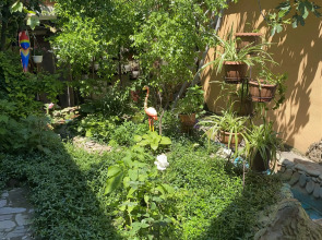 Гостевой Дом Вишневских