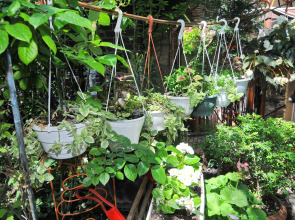 Гостевой дом Роман и Светлана