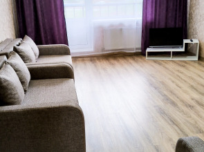 Квартира Городецкая пристань