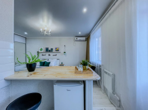 Квартира студия Green FOX в центре города