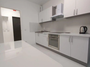 Otlichnaya V Pushkine Nedaleko Ot Instituta Turnera Flat