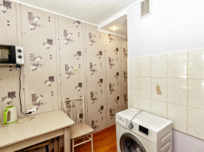 Апартаменты 29. Самый центр. Идеально для командированных и туристов.