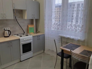 Апартаменты Комфорт у Глобуса