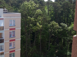 Апартаменты Синяя Птица