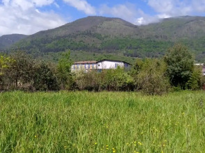 Гостевой дом Уют в Гагре