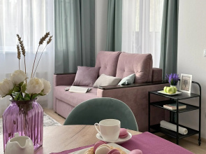 Daily Rent Apartments -Diskaveri Flat