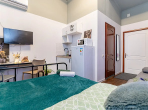 Апартаменты Жуковского 1/2/10с2 (303)