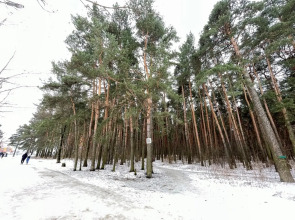 Апартаменты Студия с Диванчиком и Sony PlayStation 4