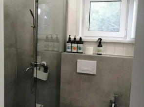 Частный дом в Сосновом Лесу