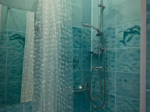 Меблированные комнаты Бон Апарт Ирена на Большой Морской 31