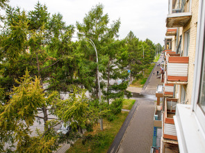 Апартаменты Двухкомнатные в центре города на Красноармейская 124