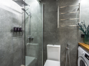 Апартаменты Queenstay Питер лофт