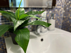 Апартаменты White Sea Чеснокова 5