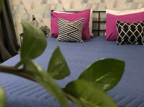 Deluxe Flat
