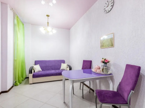 Апартаменты в Самом Центре на Белинского 30 (567)