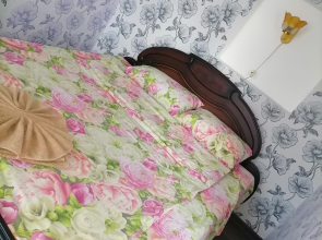 2khkomnatnye V Tsentre Apartments na Lenina 30