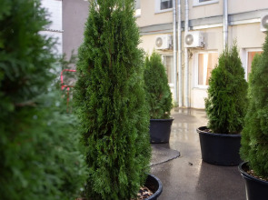 Апартаменты Loft в Cердце Москвы