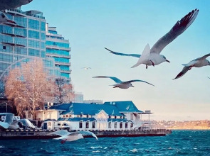 Хостел Артбухта