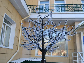 Отель Игман