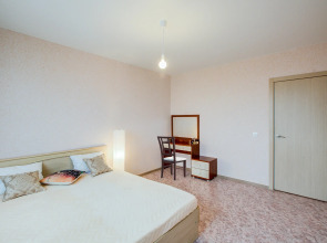 Квартира на улице 45-й Стрелковой Дивизии 259/1