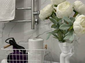 Квартира Стильная в самой центре Великого Новгорода